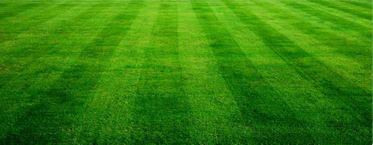 Serving Michigan's Thumb AreaWaterman Lawn & Snow LLC